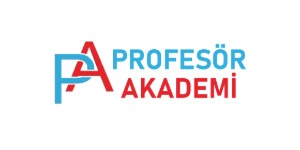 profesor-akademi-mert